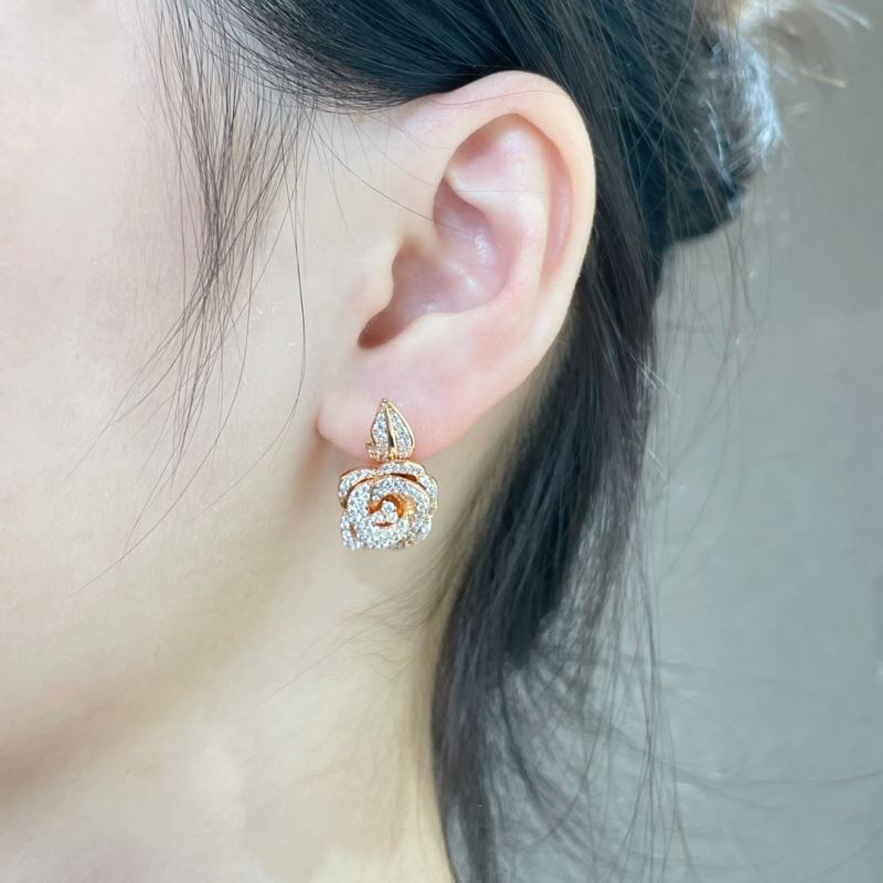 Christian Dior Earrings